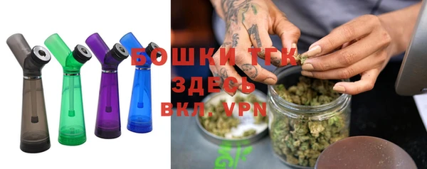 PSILOCYBIN Лабытнанги