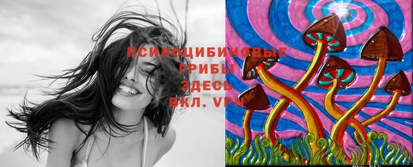 PSILOCYBIN Лабытнанги
